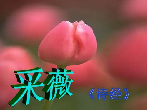 1 《诗经》采薇(很好用)