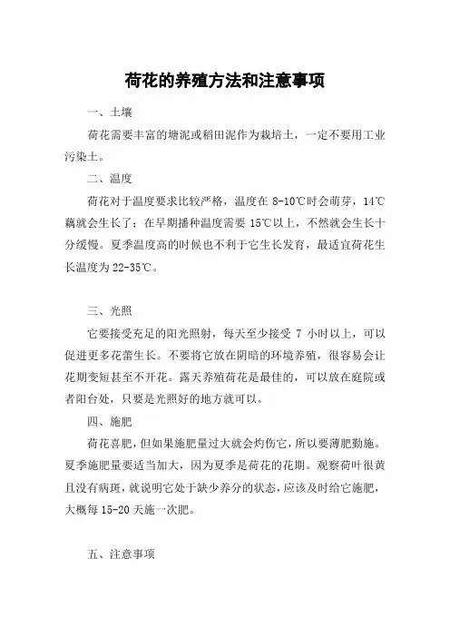 荷花的养殖方法和注意事项
