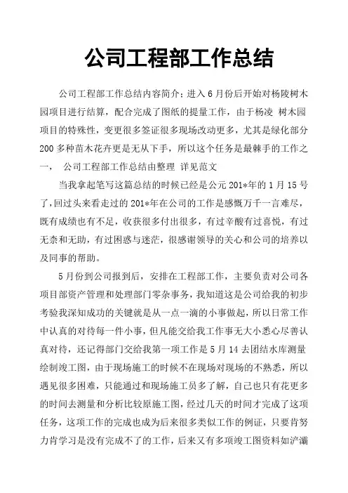 公司工程部工作总结