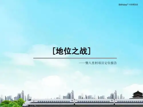 八里村项目推广方案92p