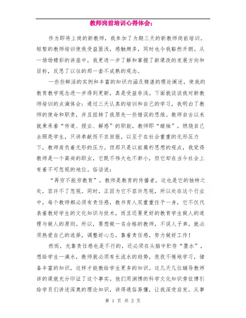 教师岗前培训心得体会 2