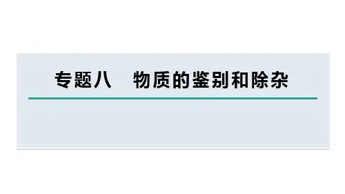 人教版化学九年级下册专题八 物质的鉴别和除杂