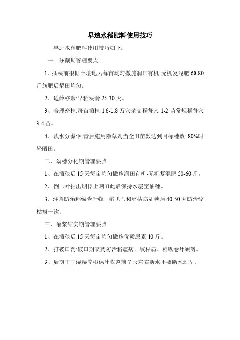 早造水稻肥料使用技巧