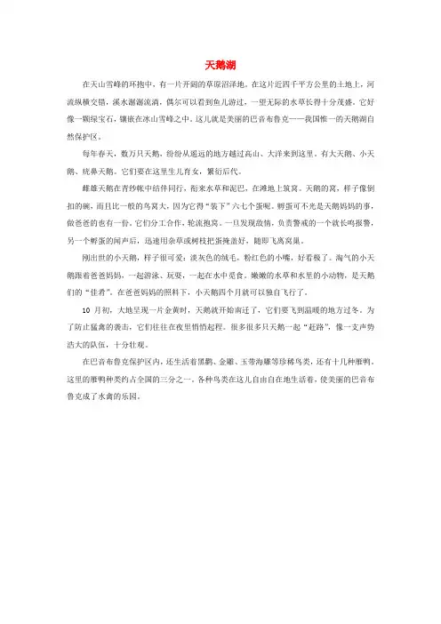 三年级语文上册 第五单元 19《美丽的小兴安岭》课文同步阅读 天鹅湖素材 鲁教版