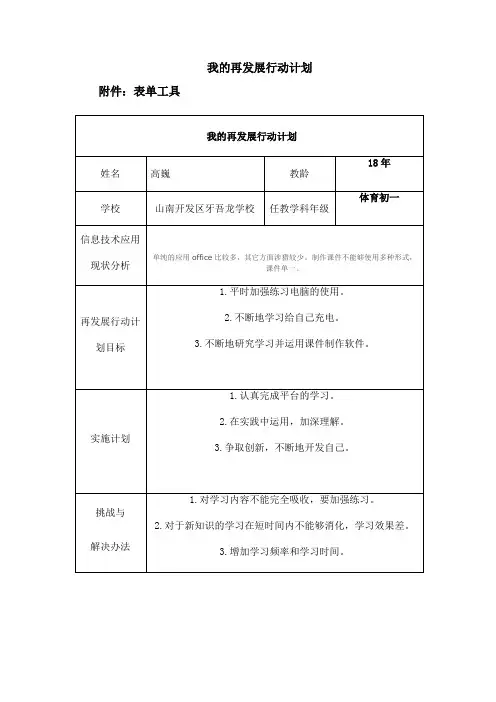 我的再发展行动计划模板 2