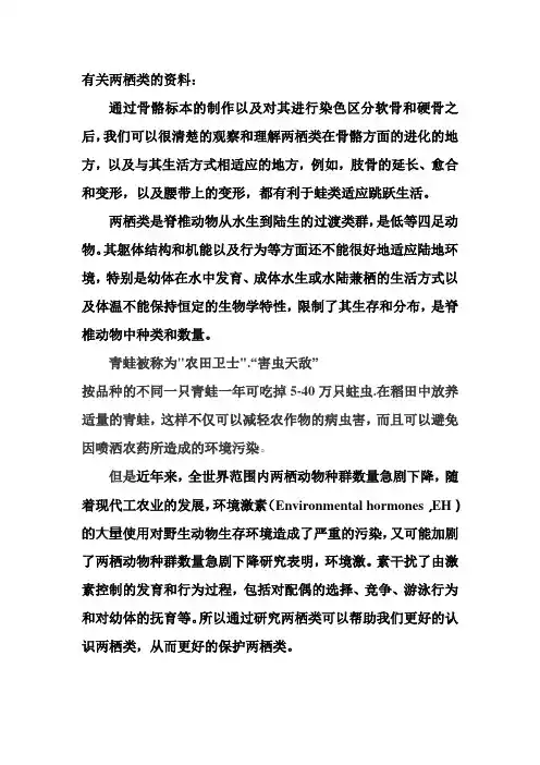 有关两栖青蛙的资料