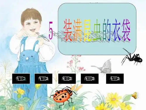 装满昆虫的衣袋课件