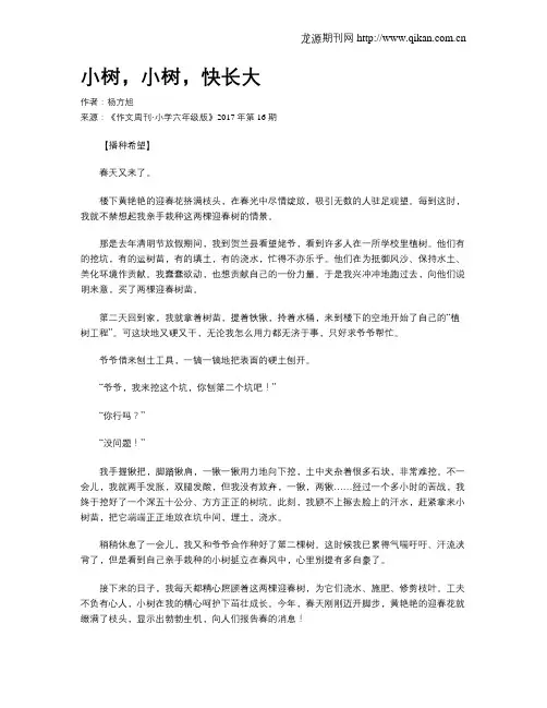小树,小树,快长大