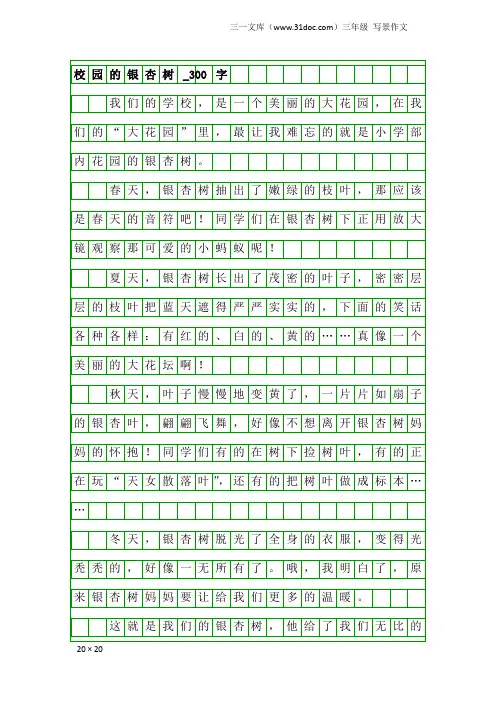 三年级写景作文：校园的银杏树_300字