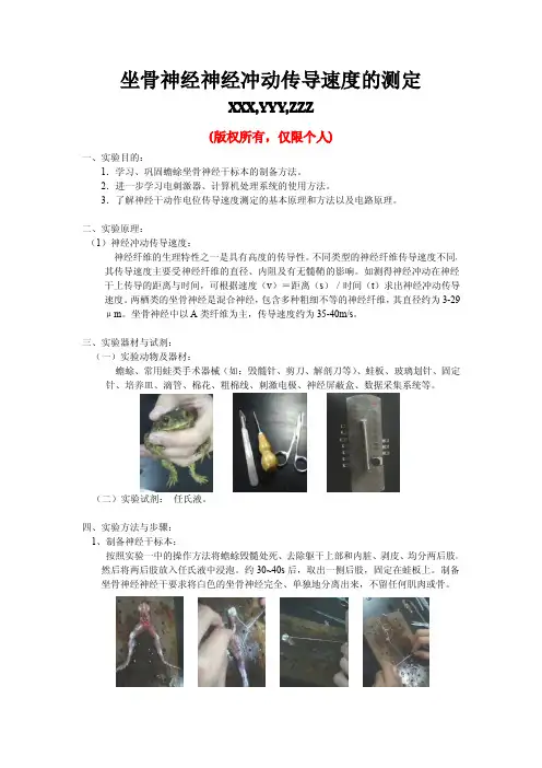 坐骨神经神经冲动传导速度的测定