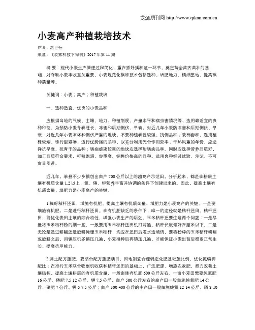 小麦高产种植栽培技术