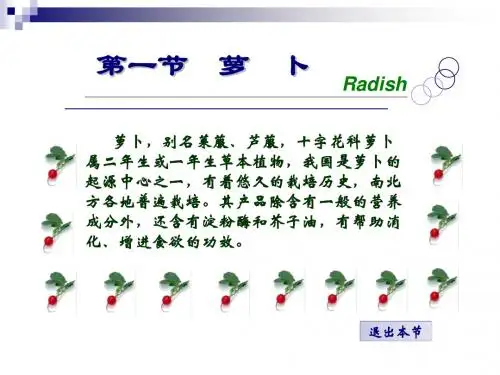 01第一节 萝卜
