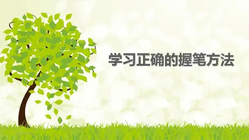 学习正确的握笔方法PPT课件
