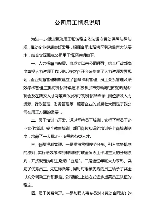 公司用工情况说明