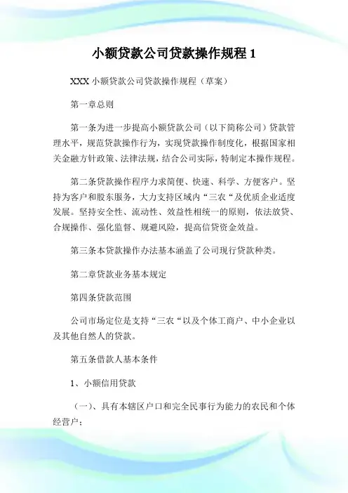 小额贷款公司贷款操作规程1.doc