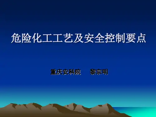 危险化工工艺及安全控制要点PPT课件