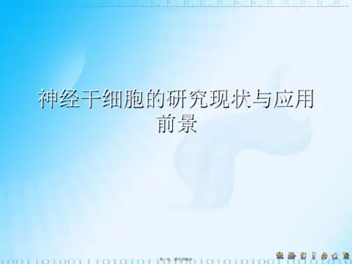 神经干细胞的研究现状与应用前景