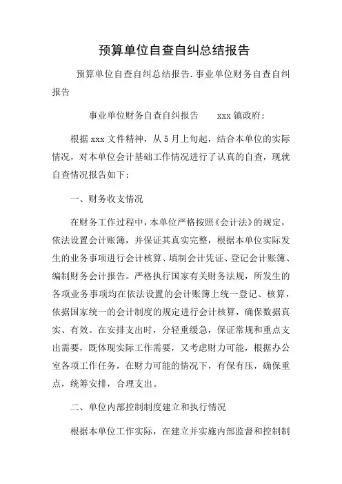预算单位自查自纠总结报告