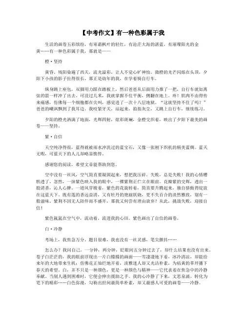 【中考作文】有一种色彩属于我