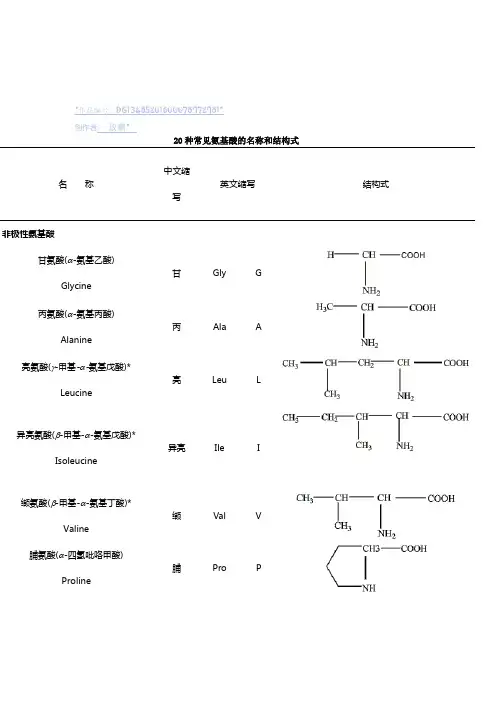 二十种氨基酸结构式 2