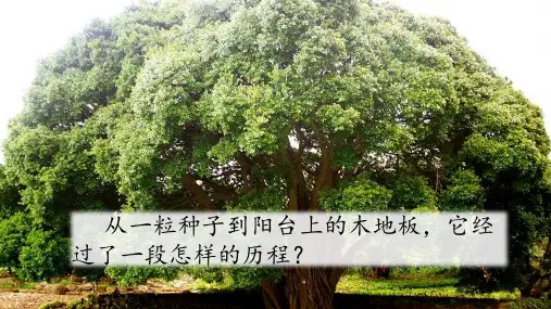 9、那一定会很好 课件