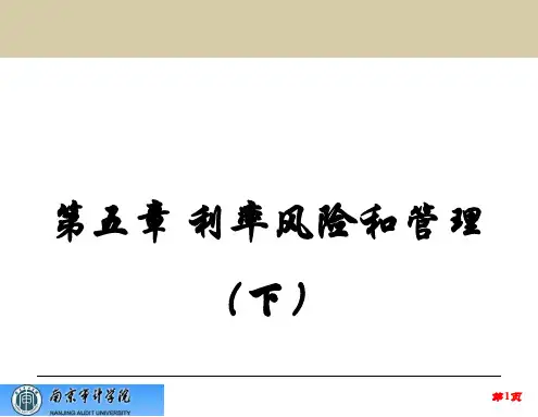 第5章 利率风险和管理(下)