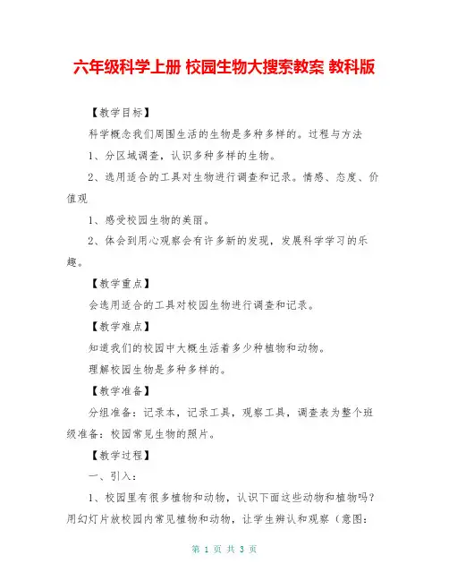 六年级科学上册 校园生物大搜索教案 教科版 2