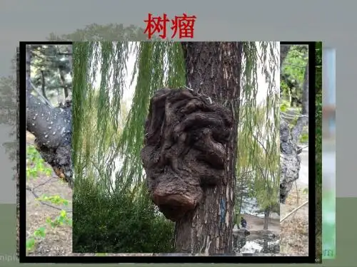 1我看到了什么