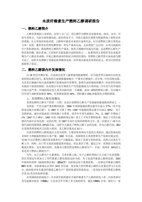 非粮生产燃料乙醇调研报告