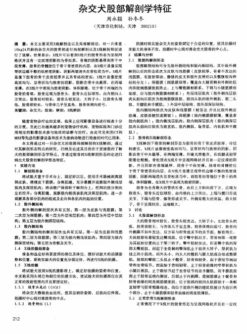 杂交犬股部解剖学特征