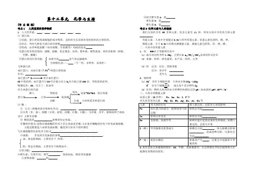 初中化学第12单元化学与生活