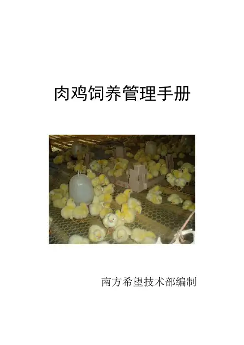 肉鸡饲养管理手册
