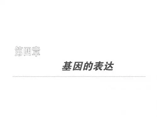 2011届高考生物第一轮复习同步课件28