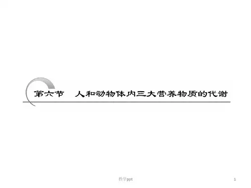 必修部分第三章第六节人和动物体内三大营养物质的代谢