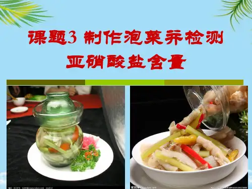 【精】制作泡菜并检测亚硝酸盐含量