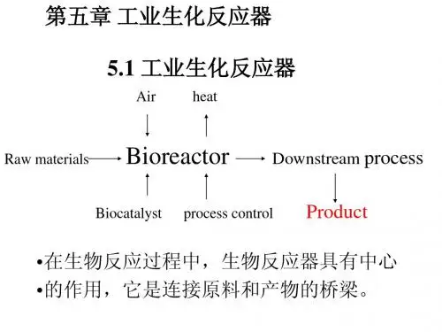 第五章_工业生化反应器