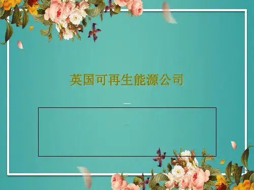 英国可再生能源公司共19页文档