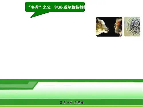 动物细胞核移植课件(精美)