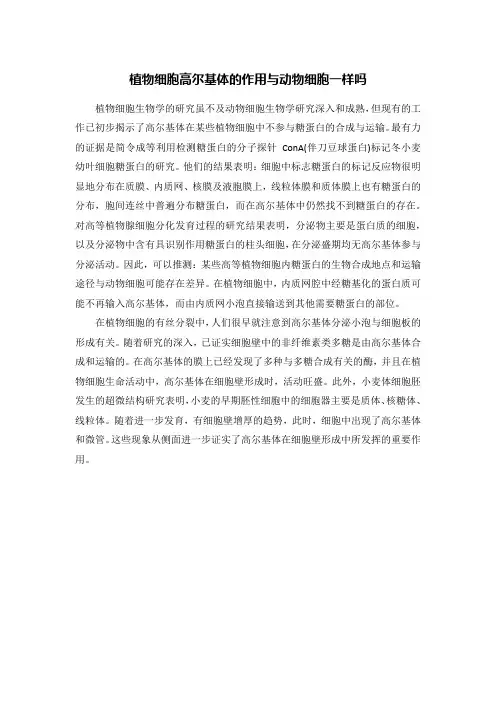 植物细胞高尔基体的作用与动物细胞一样吗