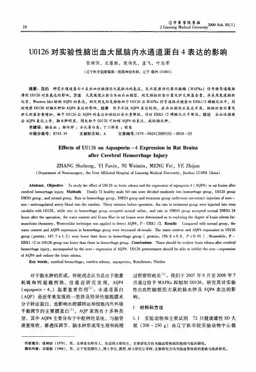 U0126对实验性脑出血大鼠脑内水通道蛋白4表达的影响