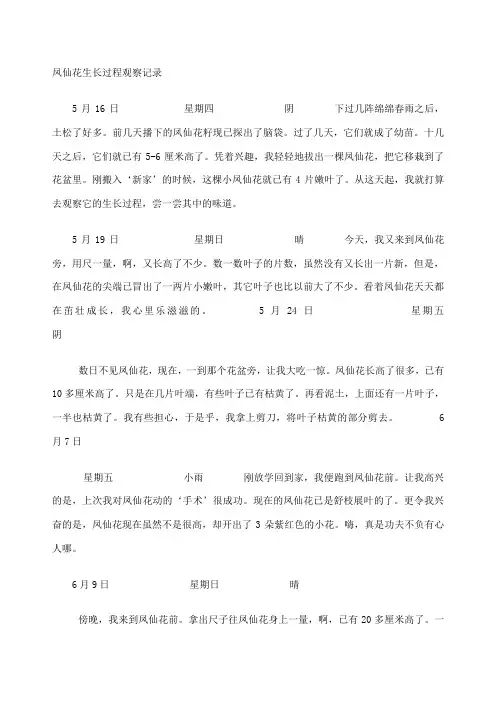 凤仙花生长过程观察记录 2
