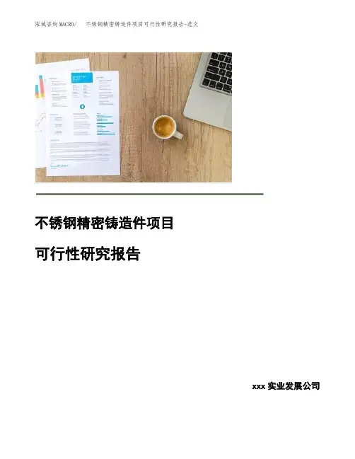 不锈钢精密铸造件项目可行性研究报告-范文