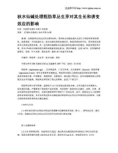 秋水仙碱处理粗肋草丛生芽对其生长和诱变效应的影响
