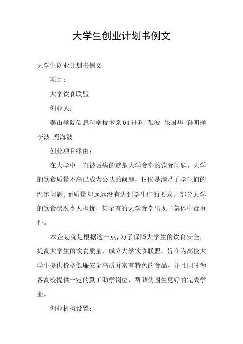 大学生创业计划书例文