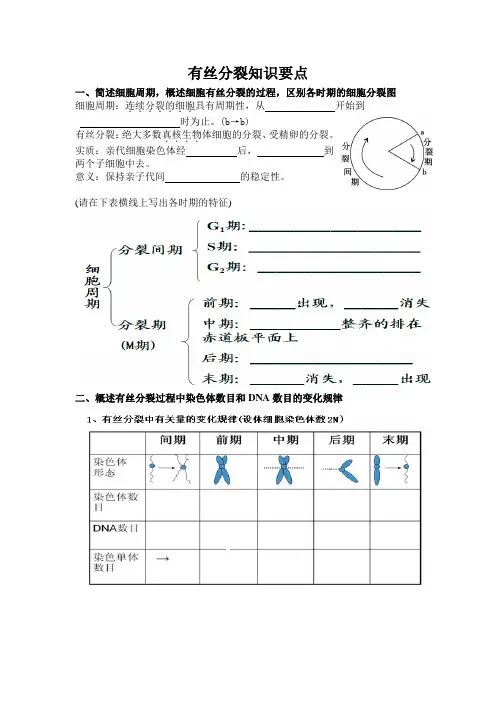 有丝分裂知识点