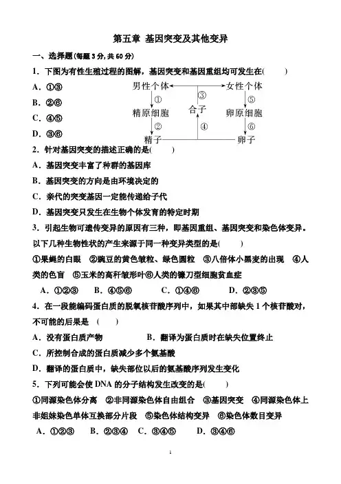 第五章 基因突变及其他变异