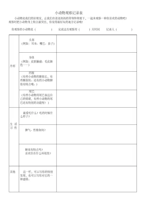 小动物观察记录表