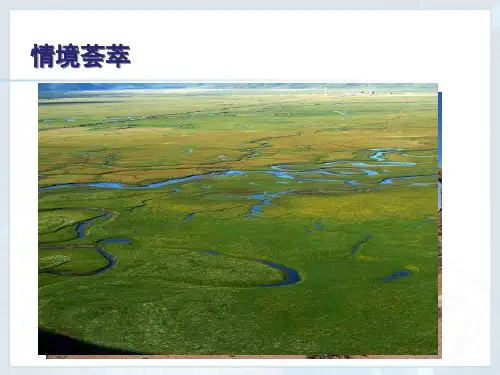 新人教版八年级地理下册《八章 西北地区  第一节 自然特征与农业》课件_25