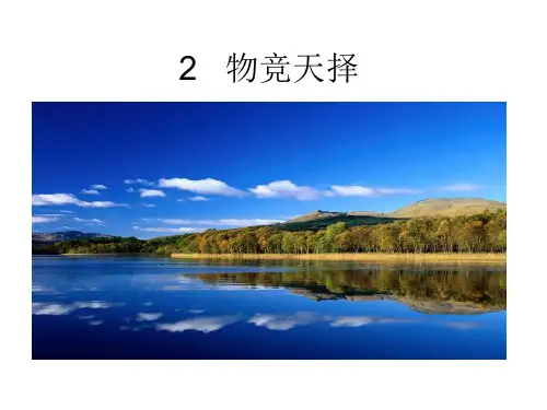 湘教版六年级下册科学1.2 物竞天择课件  共8张PPT