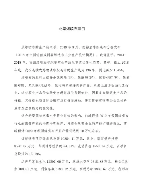 北票熔喷布项目立项申请报告